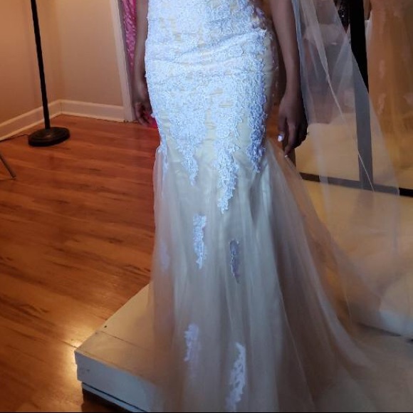 Tulle and Lace Wedding Gown - Picture 2 of 6